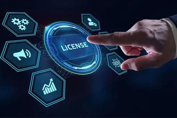 Software Licensing & Asset Management